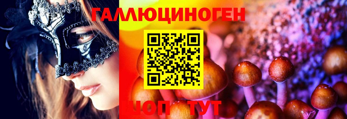 Галлюциногенные грибы Cubensis  Галлюциногенные грибы мицелий  Вход с VPN  Алушта 